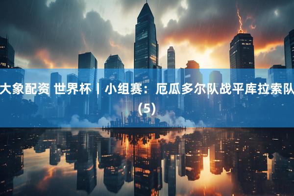 大象配资 世界杯丨小组赛：厄瓜多尔队战平库拉索队(5)